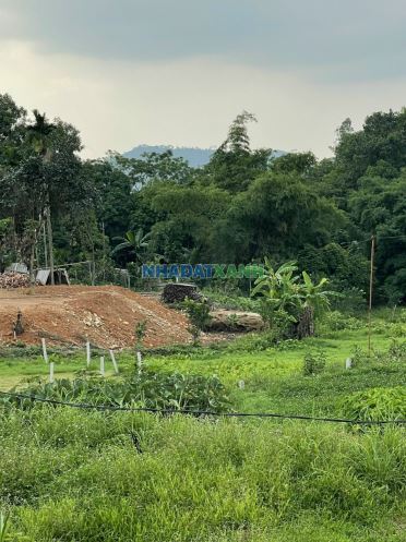 Bán lô đất đẹp làm homestay cách trung tâm hà nội chỉ 20km