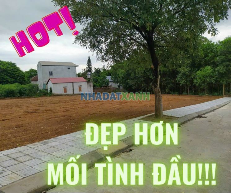 Cần bán 150m2 đất tại đồng lư quốc oai hà nội