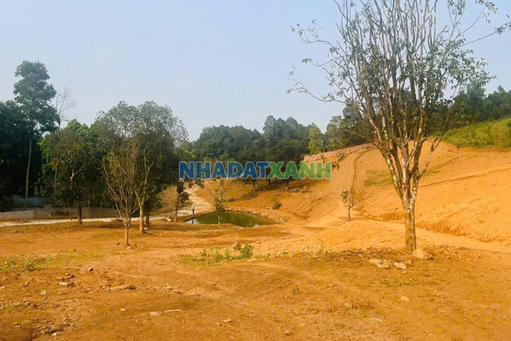 🔥🔥 CƠ HỘI VÀNG SỞ HỮU 44.000m² ĐẤT NGHỈ DƯỠNG TẠI LƯƠNG SƠN – GIÁ CHỈ TỪ 2X TỶ