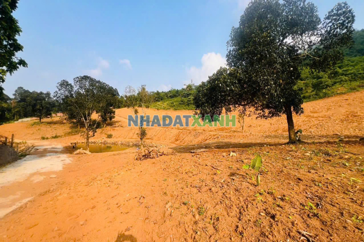 🔥🔥 CƠ HỘI VÀNG SỞ HỮU 44.000m² ĐẤT NGHỈ DƯỠNG TẠI LƯƠNG SƠN – GIÁ CHỈ TỪ 2X TỶ