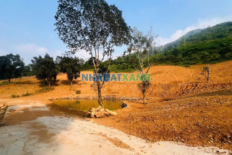 🔥🔥 CƠ HỘI VÀNG SỞ HỮU 44.000m² ĐẤT NGHỈ DƯỠNG TẠI LƯƠNG SƠN – GIÁ CHỈ TỪ 2X TỶ