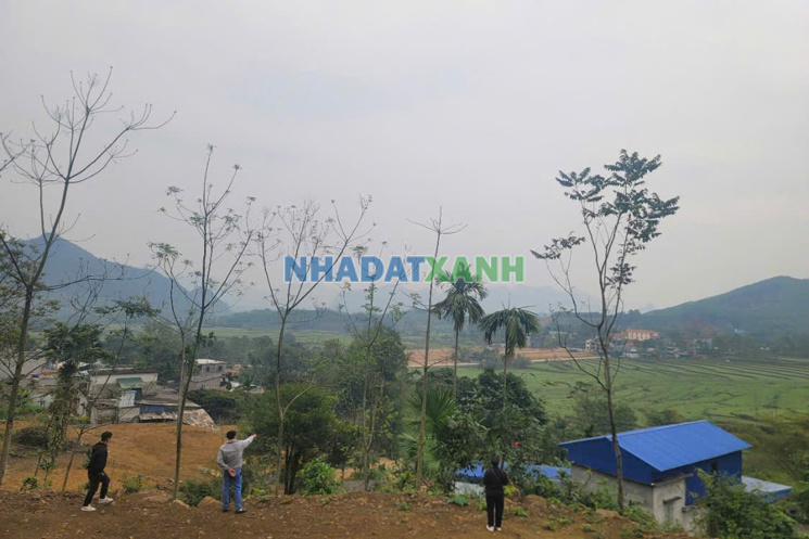 Bán đất 5800m² view đồi gần Sun Group Kim Bôi – Giá chỉ từ 600k/m²