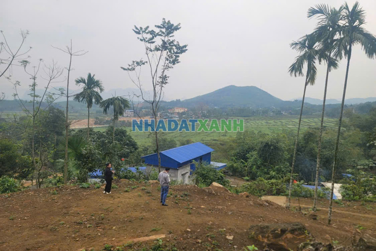Bán đất 5800m² view đồi gần Sun Group Kim Bôi – Giá chỉ từ 600k/m²